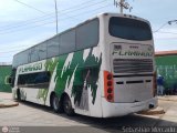 Expresos Flamingo 0061