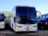 Ejecutivos Boga 028 por �ngel Sal�n