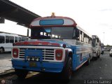 Lnea Duaca 33 Blue Bird Convencional No Integral Ford B-750