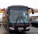 Particular 029 Modasa Titn Turismo Scania K310