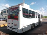 Ejecutivos Kova 082