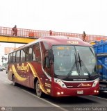 Empresa de Transporte Per Bus S.A. 338