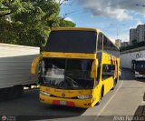 Expresos Los Llanos 223