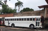 Sin identificacin o Desconocido 40
