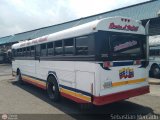 Colectivo San Rafael 10 Thomas Built Buses Saf-T-Liner ER International 3100RE
