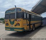 ZU - Colectivos Concepcin 042
