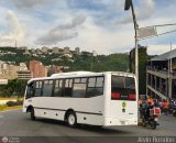 A.C. de Transporte Larense 30, por Alvin Rondn