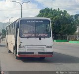 Transporte La Villa 18