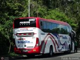 Expreso Brasilia 6593