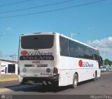 Expresos Occidente 377