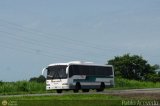 Autobuses de Barinas 050, por Pablo Acevedo