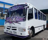 Particular 551