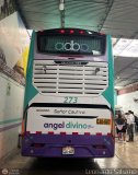 Tours Angel Divino S.A.C. (Per) 273