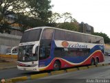 Expresos Occidente 167