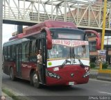 Coop. de Transp. Comunidad de Santa Luca 40 Yutong ZK6896HGA GNC Integral Cummins EQB210-20