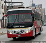 Particular NO USAR M�S 700, por Leonardo Saturno