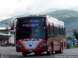 Colectivo Los Andes (Mrida - El Vigia) 41, por Leonardo Saturno