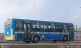 E.T. Edilberto Ramos S.A. 107 Xiamen Golden Dragon XML6103 Integral Cummins ISLe 290Hp