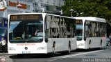 Oschsenbrucher 805 Mercedes-Benz O-530 Citaro Mercedes-Benz O-530