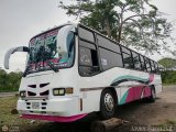 A.C. de Transporte Macizo Guayans