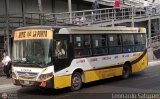 E.T. El Carmen de La Punta S.A 762 Artesanal o Desconocido Sin Nombre Jac Ankai HK6118G