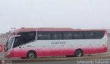 Particular 961, por Leonardo Saturno