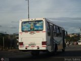 A.C. de Transporte Amigos de Ca 54