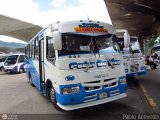A.C. Lnea Coln 20