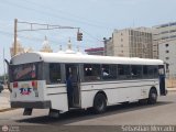ZU - Ral Leoni 29