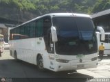 Servicios Especiales del Centro C.A. 49