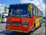 L�nea Sanare 19 por Santiago Dorante