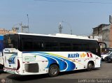 E.T. Male�o VIP (Per�) 241
