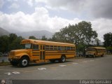 Universitarios y Escolares ESCO 3-1 Blue Bird Convencional No Integral International 4700