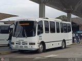 A.C. Transporte Paez 001, por Jos Mora