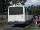 Colectivos Valle de Pacairigua 014, por Alfredo Montes de Oca