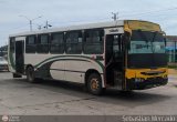 ZU - Colectivos Concepcin 029, por Sebastin Mercado