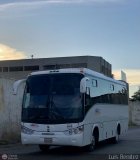 Caribe Express C.A. 1031