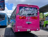 S.C. Uni�n Expresos San Juan 066 por Santiago Dorante