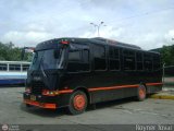 Particular o Transporte de Personal 08, por Royner Tovar