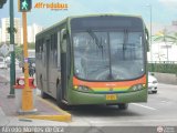 Metrobus Caracas 523