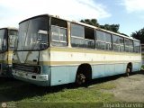 Transporte El Carmen AC0020 Ikarus 266 Desconocido NPI