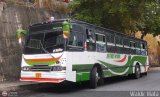 MI - Transporte Colectivo Santa Mara 19, por Waldir Mata