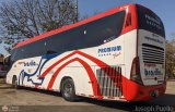 Expreso Brasilia 7628