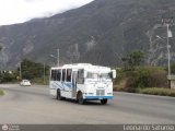 Lnea Los Andes S.C. 087, por Leonardo Saturno