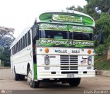 Colectivos Transporte Libertad C.A. 04