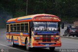 Colectivos Altagracia 04