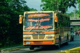 Colectivos Altagracia 11