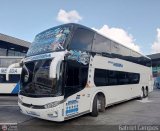 Expresos M�rida 0172