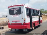 Colectivos El Pozo 001