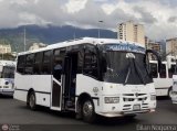 Coop. Transporte Menca de Leoni 101